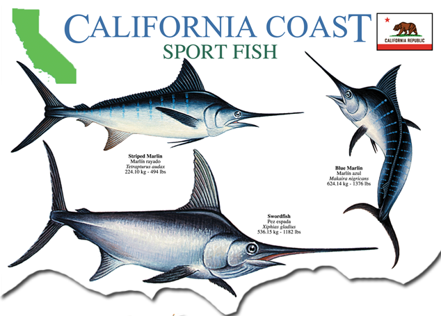 California Coast Sport Fish Field Guide