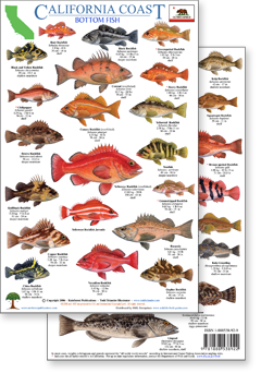 California Coast Bottom Fish Guide